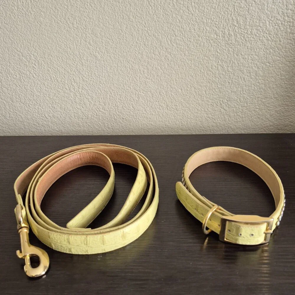 Lady Churchwell's Leather Dog Collar and Leash